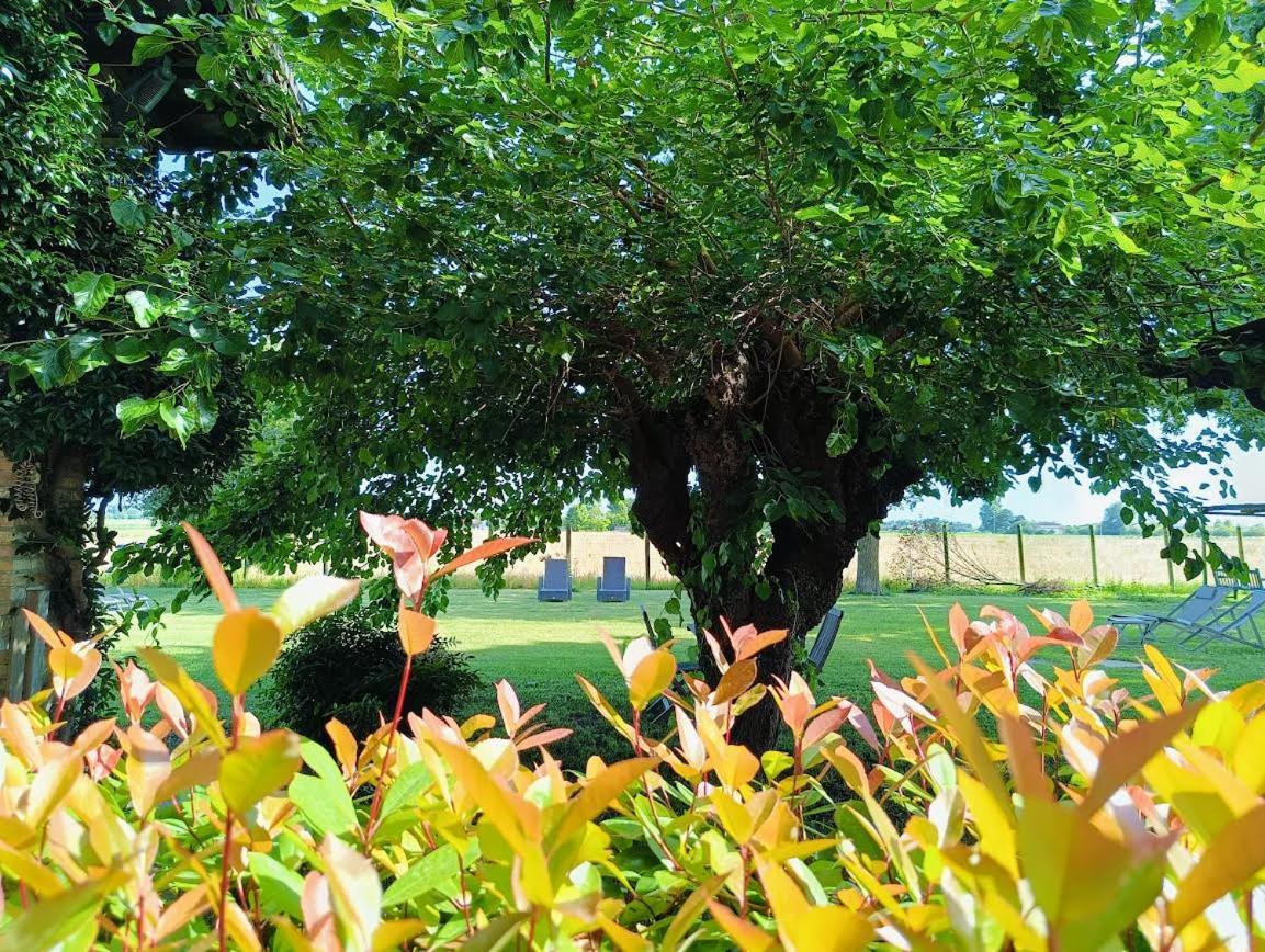 سان ميشيل آل تاليامنتو B&B Casa Del Bosco المظهر الخارجي الصورة